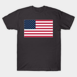 USA Flag T-Shirt